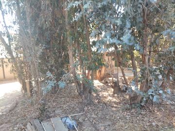 Se vende Terreno amplio Quilpue sector Los Pinos