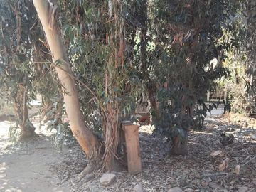 Se vende Terreno amplio Quilpue sector Los Pinos