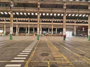 Nave Industrial - Alquiler - El Triángulo