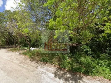 Quintana Roo, Terreno Venta, FRACCIONAMIENTO LA SELVA, CANCUN