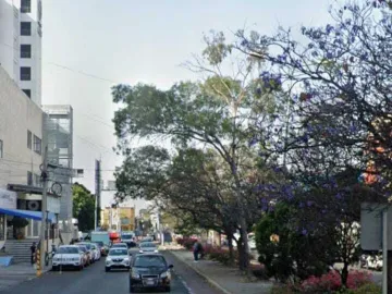 PUEBLA LOCAL COMERCIAL, JARDINES SAN MANUEL