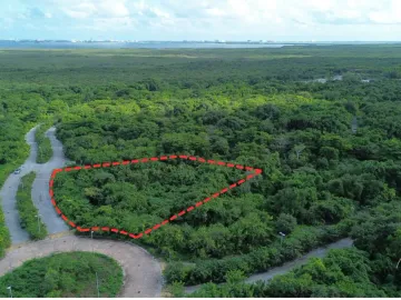 Terreno - Parque Cancún