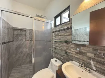 Arbolada C