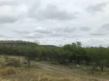Guadalupe (La Hacienda de Guadalupe)