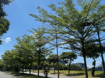 Main Road Boulevard Selat Golf Citraland