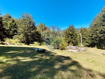 En venta Terreno 14,9 ha. Panqui -Curarrehue