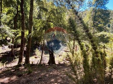 En venta Terreno 14,9 ha. Panqui -Curarrehue