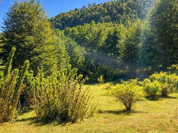 En venta Terreno 14,9 ha. Panqui -Curarrehue