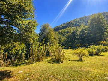 En venta Terreno 14,9 ha. Panqui -Curarrehue