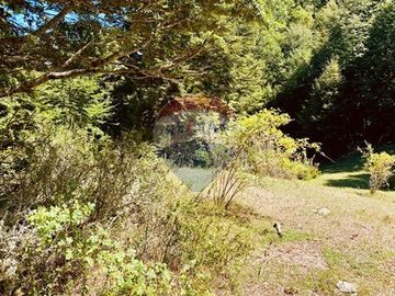 En venta Terreno 14,9 ha. Panqui -Curarrehue