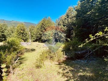 En venta Terreno 14,9 ha. Panqui -Curarrehue