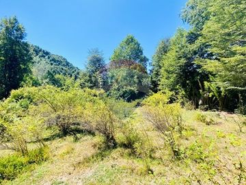 En venta Terreno 14,9 ha. Panqui -Curarrehue