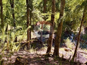 En venta Terreno 14,9 ha. Panqui -Curarrehue