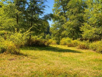 En venta Terreno 14,9 ha. Panqui -Curarrehue