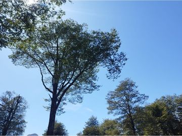 Terreno en Venta Sector Ñirehuao,  Region de Aysen