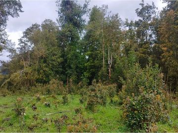 Terreno en Venta Sector Ñirehuao,  Region de Aysen