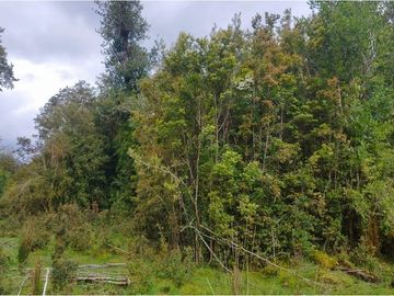 Terreno en Venta Sector Ñirehuao,  Region de Aysen