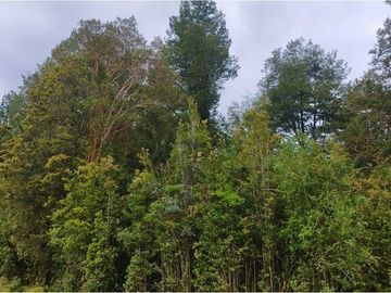 Terreno en Venta Sector Ñirehuao,  Region de Aysen