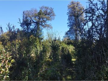 Terreno en Venta Sector Ñirehuao,  Region de Aysen