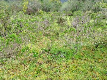 Terreno en Venta Sector Ñirehuao,  Region de Aysen