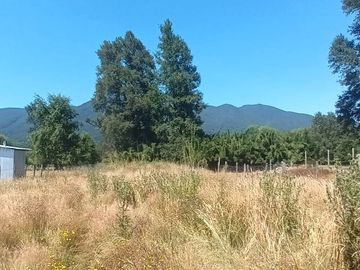 Venta Parcela de Campo Catripulli, Curarrehue