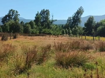 Venta Parcela de Campo Catripulli, Curarrehue