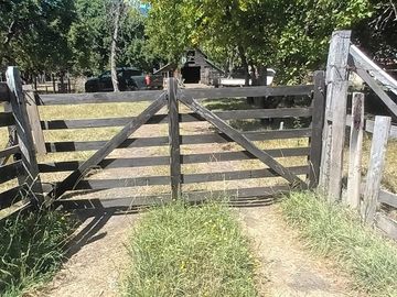Venta Parcela de Campo Catripulli, Curarrehue