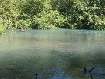 Venta Parcela de Campo Catripulli, Curarrehue