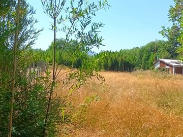 Venta Parcela de Campo Catripulli, Curarrehue