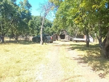 Venta Parcela de Campo Catripulli, Curarrehue