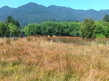 Venta Parcela de Campo Catripulli, Curarrehue