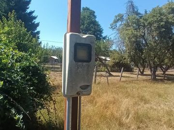 Venta Parcela de Campo Catripulli, Curarrehue