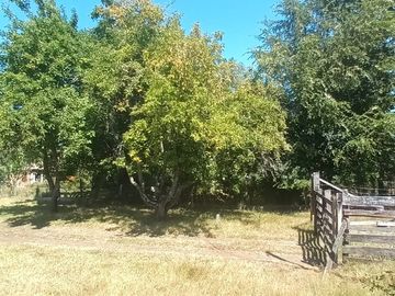 Venta Parcela de Campo Catripulli, Curarrehue