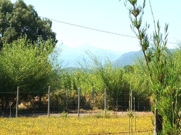 Venta Parcela de Campo Catripulli, Curarrehue