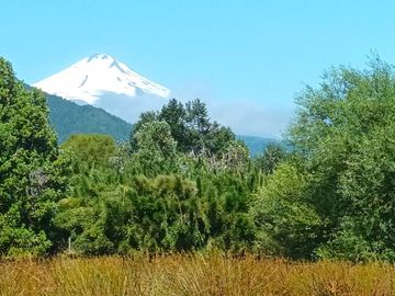Venta Parcela de Campo Catripulli, Curarrehue