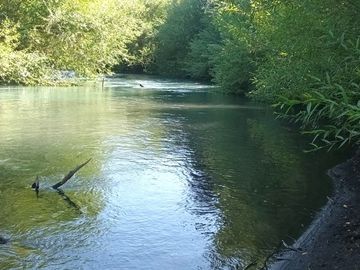 Venta Parcela de Campo Catripulli, Curarrehue
