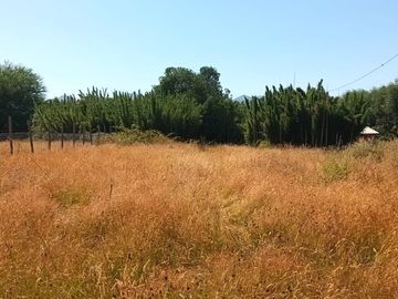 Venta Parcela de Campo Catripulli, Curarrehue