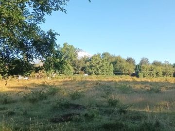 Terreno en Pucón: 12.403m² en Sector Los Riscos