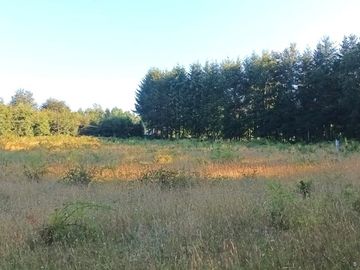 Terreno en Pucón: 12.403m² en Sector Los Riscos
