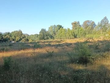 Terreno en Pucón: 12.403m² en Sector Los Riscos