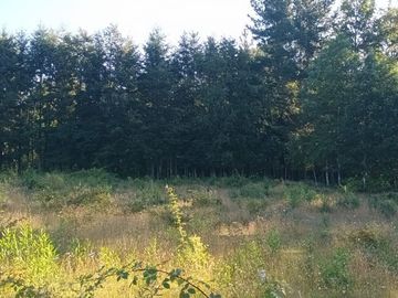 Terreno en Pucón: 12.403m² en Sector Los Riscos