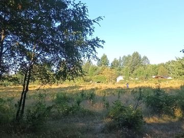 Terreno en Pucón: 12.403m² en Sector Los Riscos