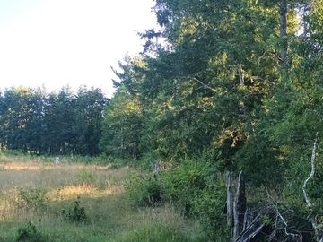 Terreno en Pucón: 12.403m² en Sector Los Riscos