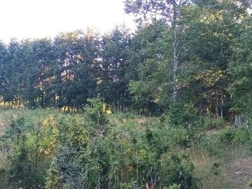 Terreno en Pucón: 12.403m² en Sector Los Riscos