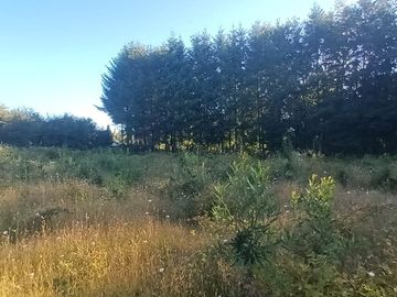Terreno en Pucón: 12.403m² en Sector Los Riscos