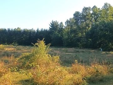 Terreno en Pucón: 12.403m² en Sector Los Riscos