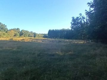 Terreno en Pucón: 12.403m² en Sector Los Riscos