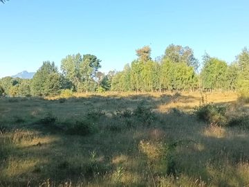 Terreno en Pucón: 12.403m² en Sector Los Riscos