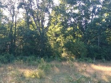 Terreno en Pucón: 12.403m² en Sector Los Riscos