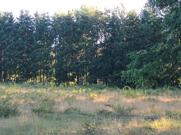 Terreno en Pucón: 12.403m² en Sector Los Riscos